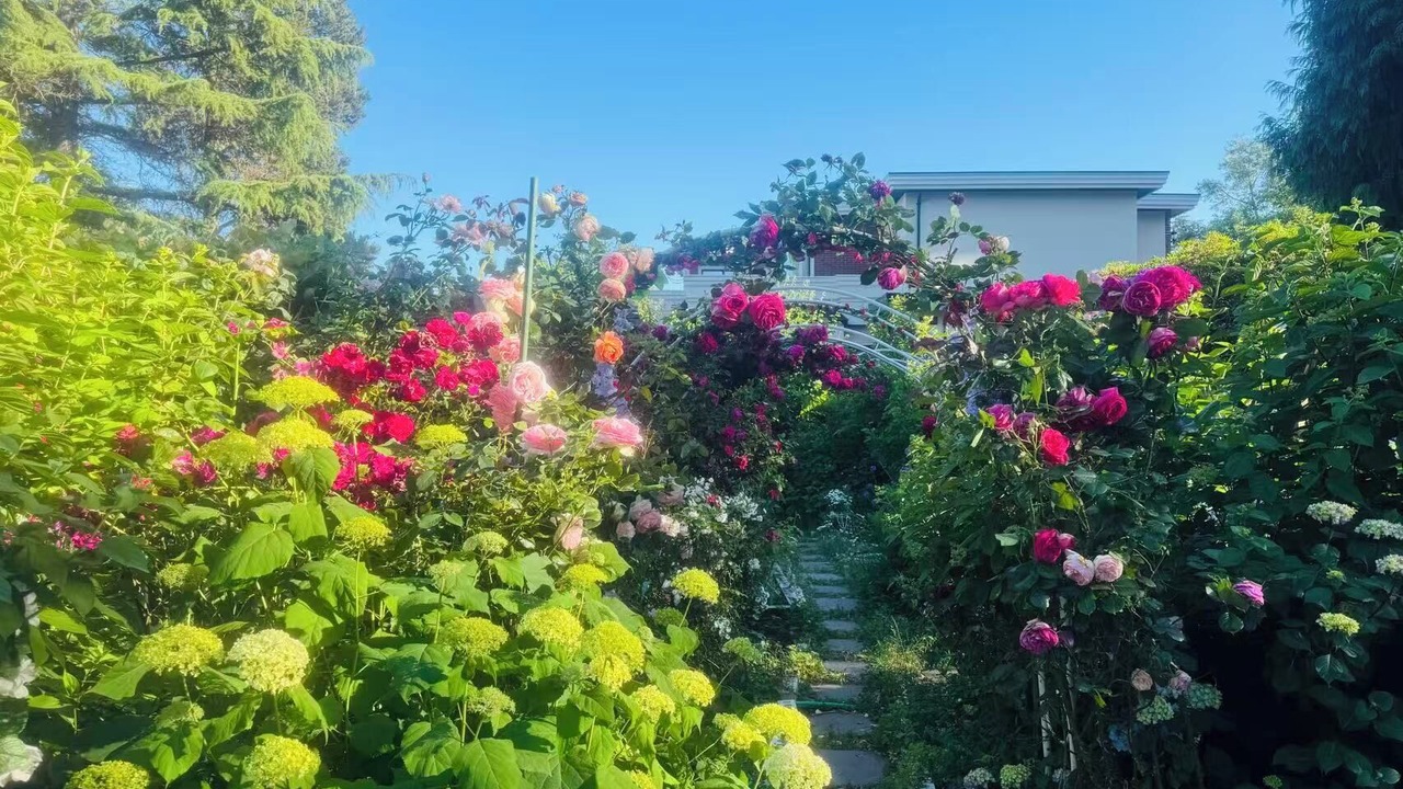 Photo of Patio Balcony in Surrey