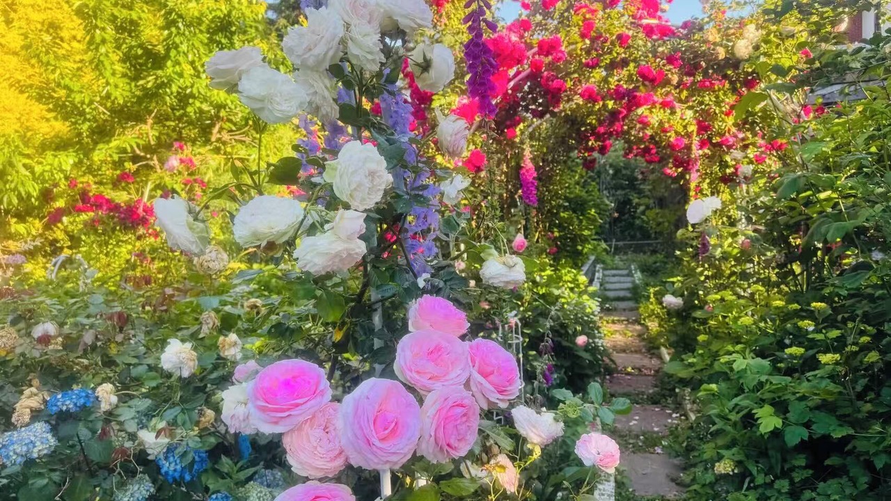 Photo of Patio Balcony in Surrey