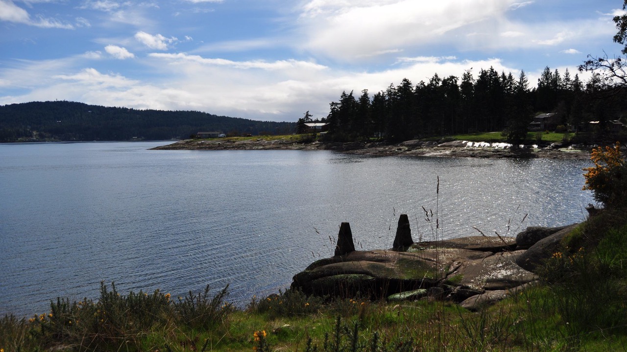 Photo of Others in Sturdies Bay