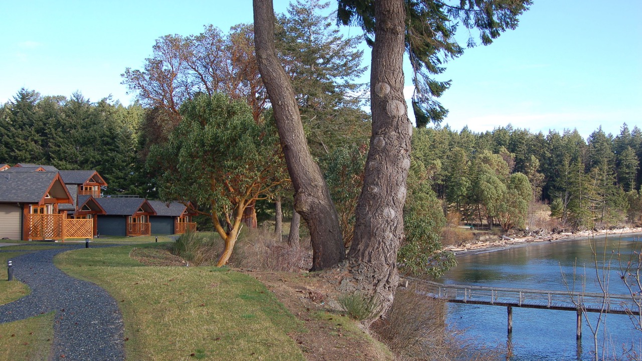 Photo of Others in Mayne Island