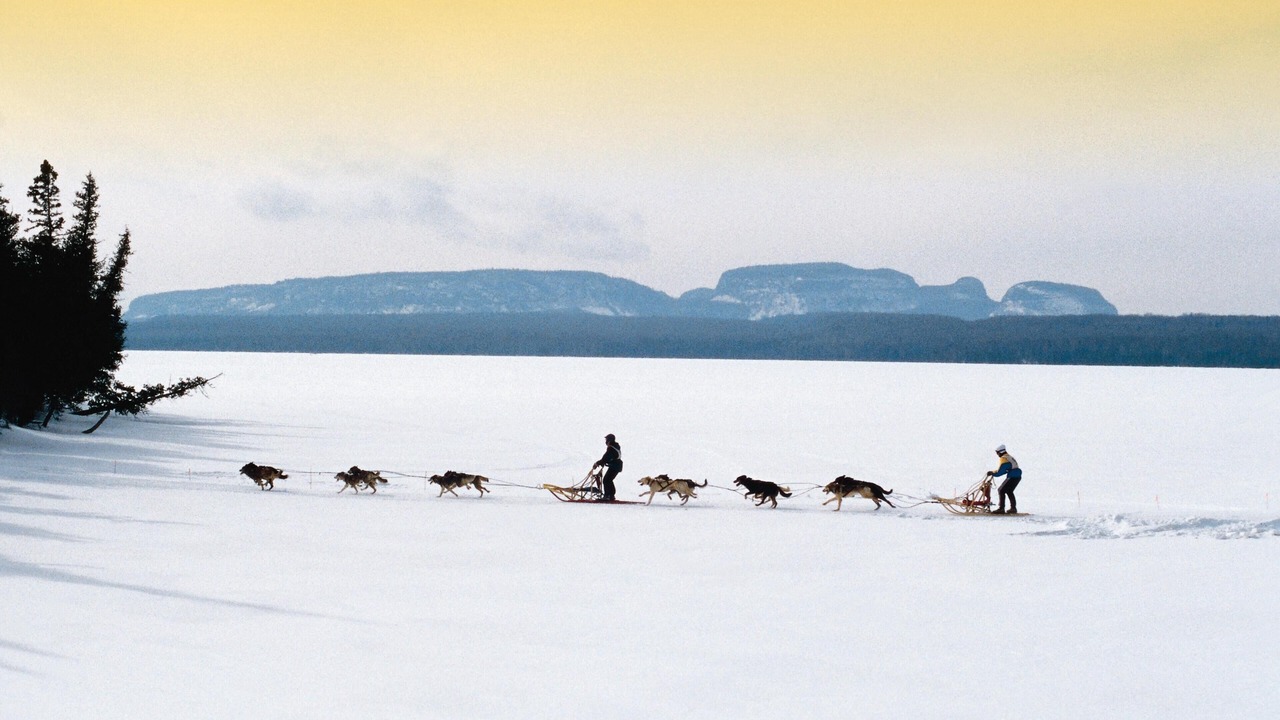 Photo of Others in Thunder Bay
