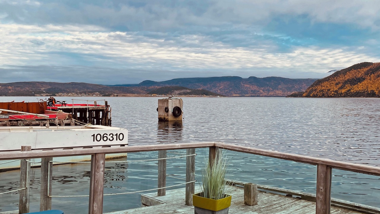 Photo of Others in Woody Point