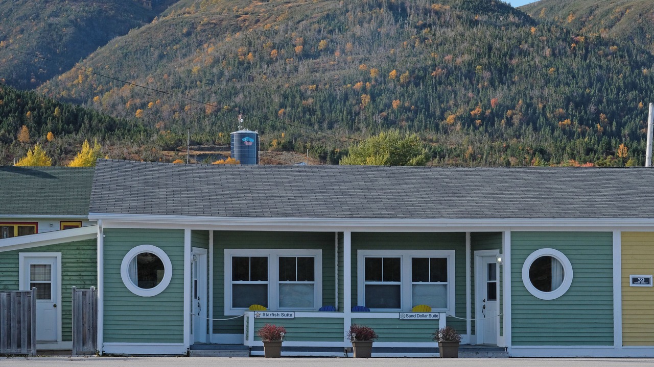 Photo of Outdoor in Woody Point