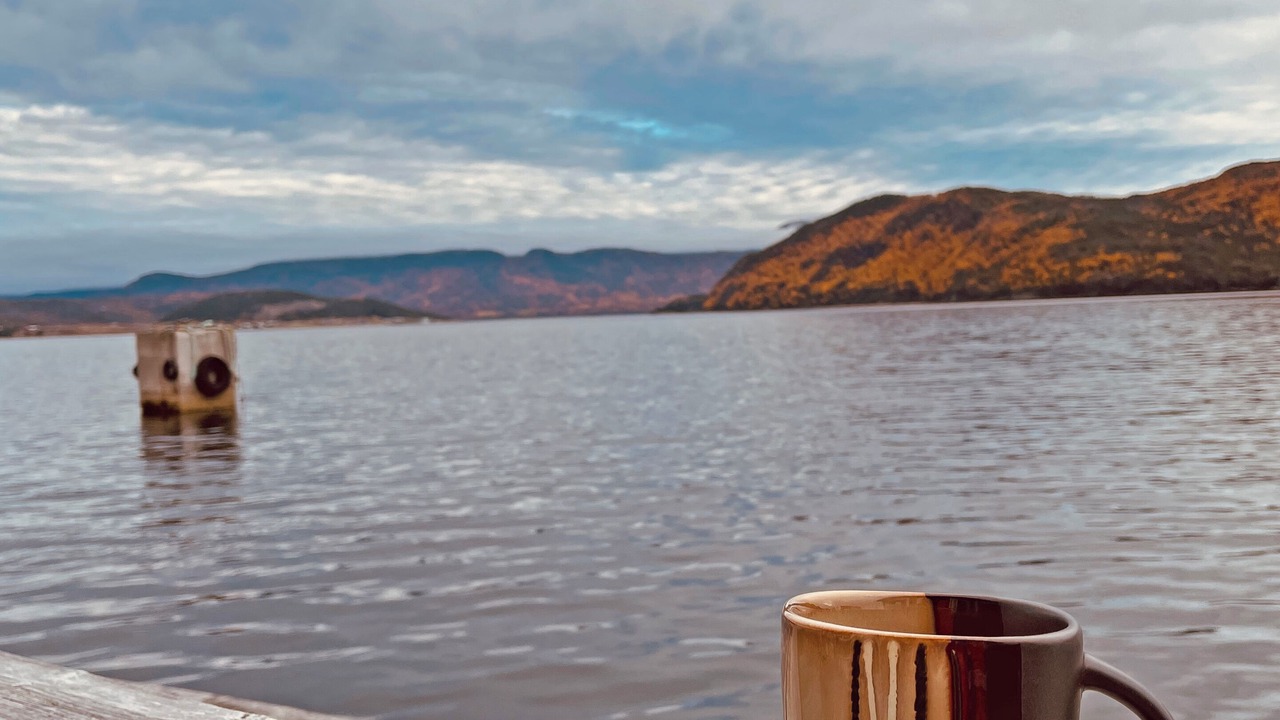Photo of Others in Woody Point