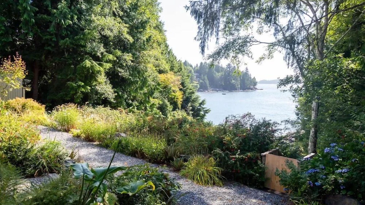 Photo of Outdoor in Tofino