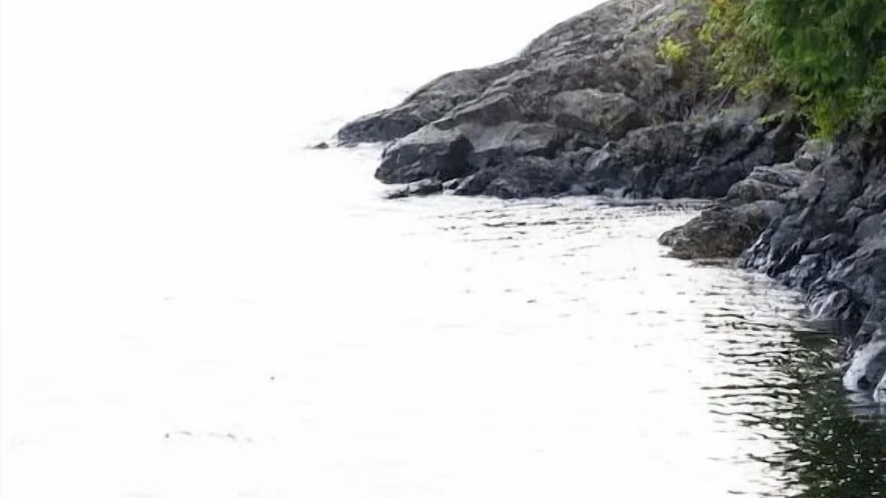 Photo of Outdoor in Tofino
