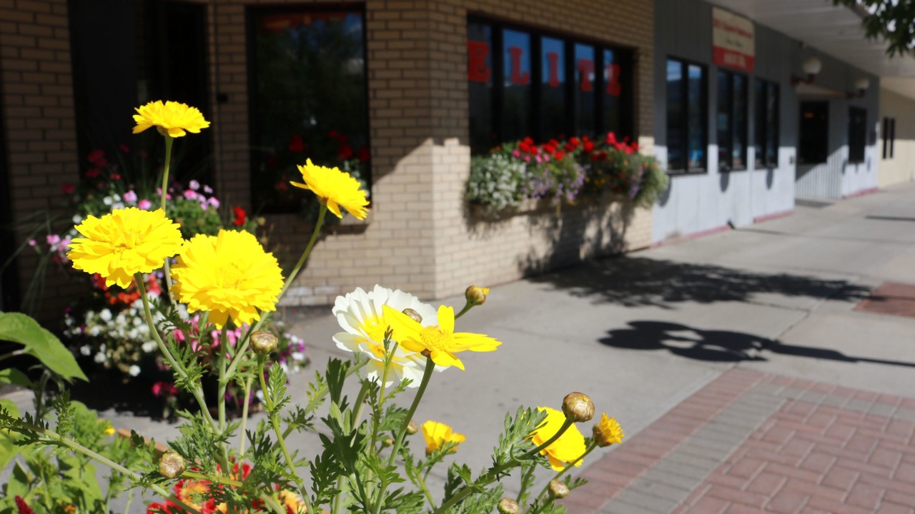 Photo of Outdoor in Whitehorse