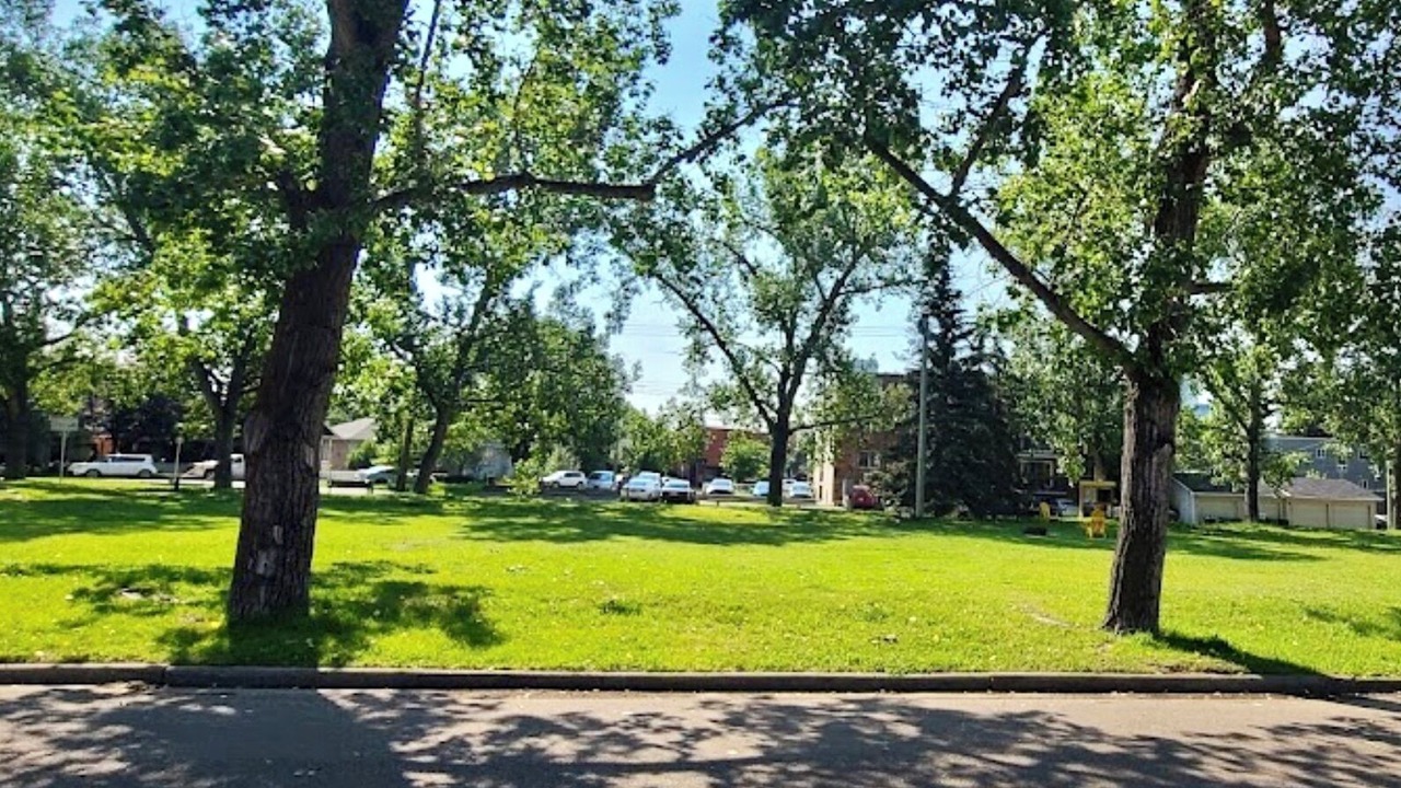 Photo of Outdoor in Sunnyside