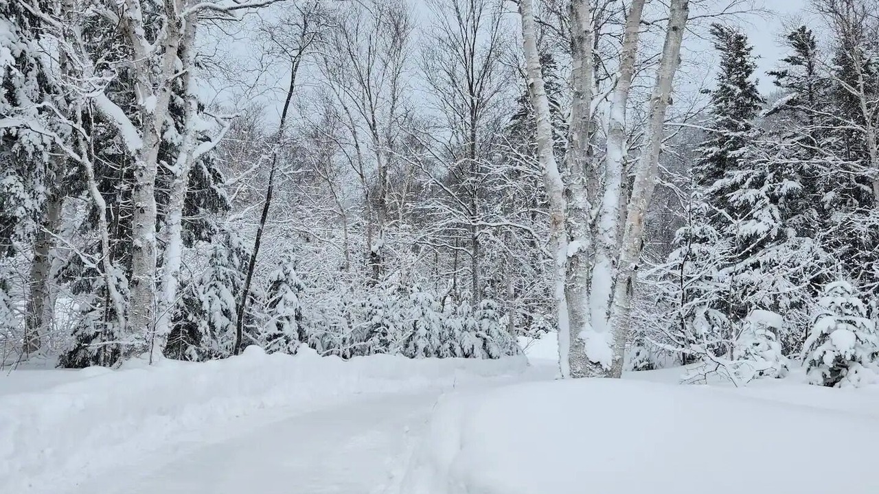Photo of Others in Humber Valley