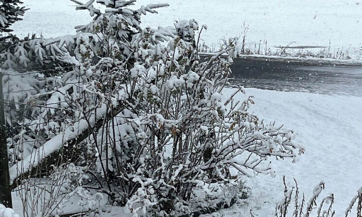 Photo of Outdoor in South Glengarry