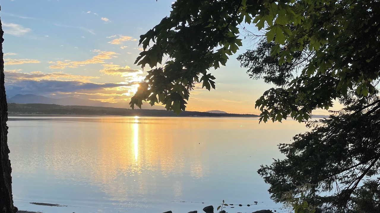 Photo of Others in Denman Island