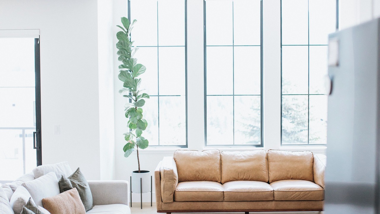 Photo of Livingroom in Foothills