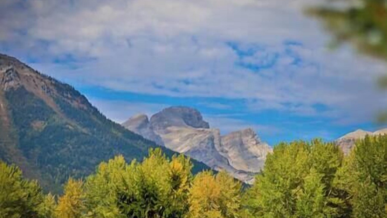 Photo of Others in Fernie