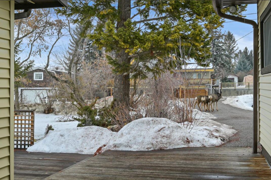 Photo of Outdoor in Windermere