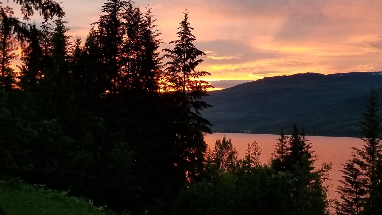 Photo of Others in Salmon Arm