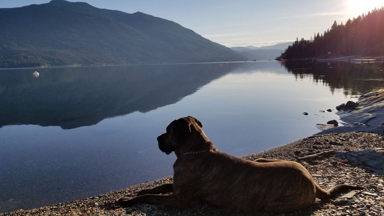 Photo of Others in Salmon Arm