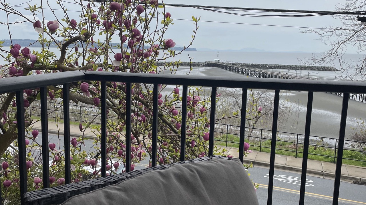 Photo of Outdoor in White Rock