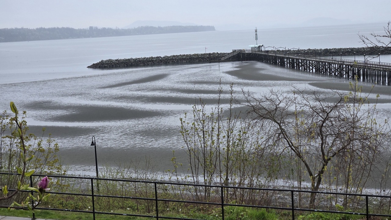 Photo of Others in White Rock