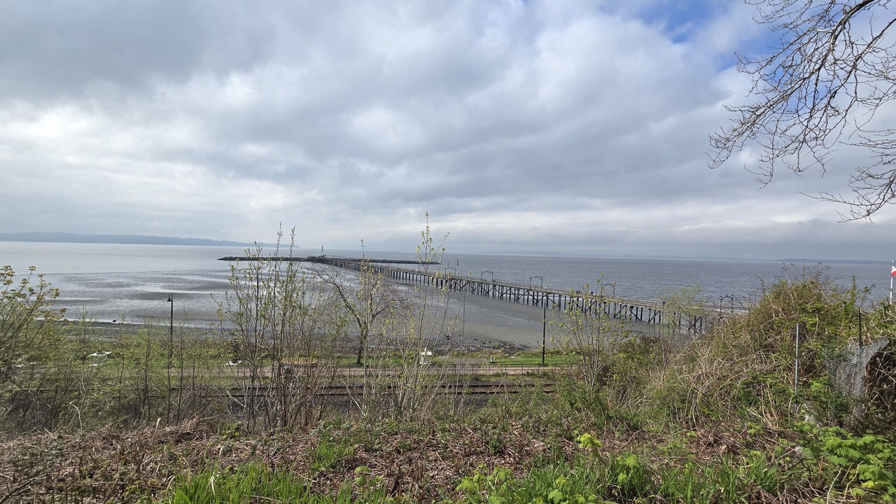 Photo of Others in White Rock