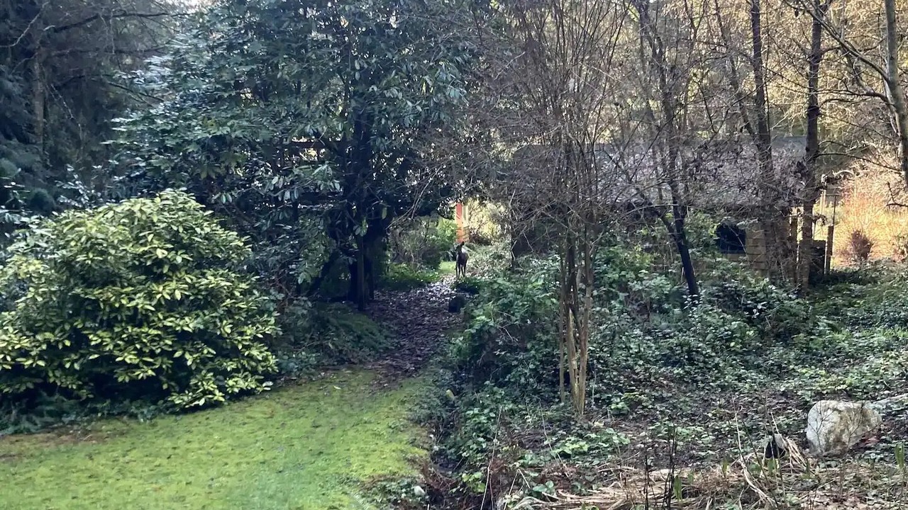Photo of Outdoor in Roberts Creek