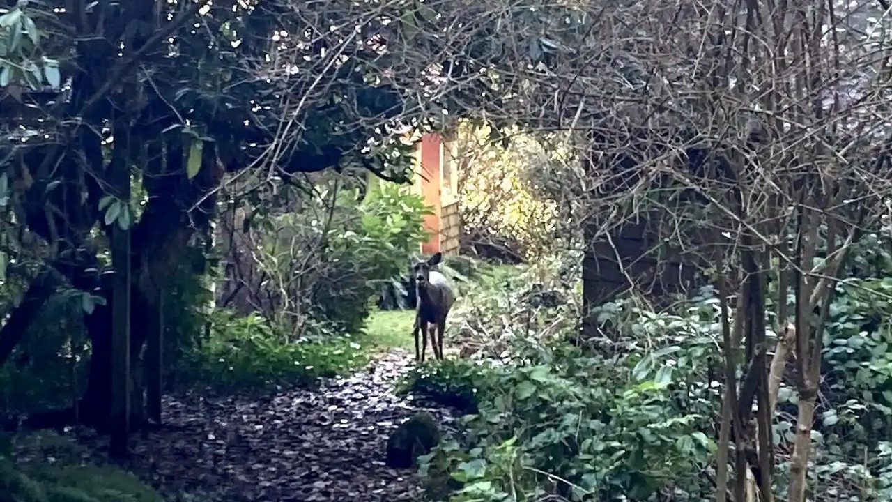 Photo of Others in Roberts Creek