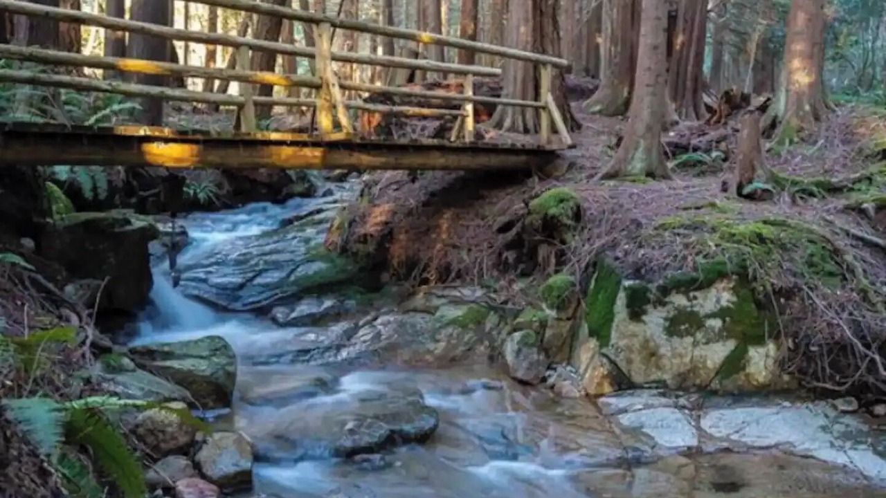 Photo of Outdoor in Roberts Creek
