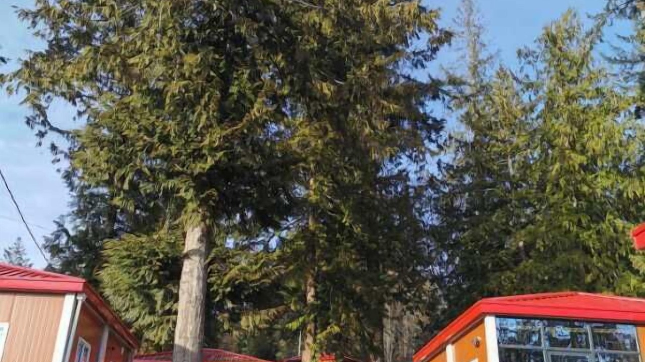 Photo of Outdoor in Sliammon