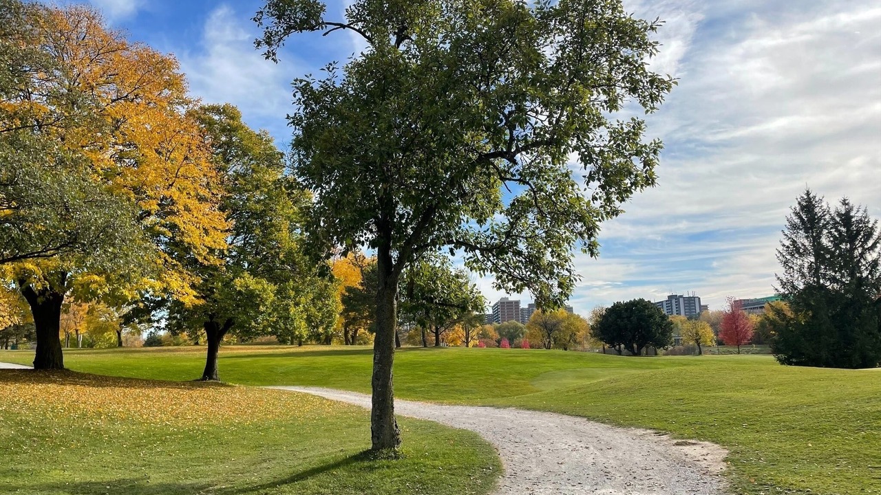 Photo of Outdoor in L'Amoreaux