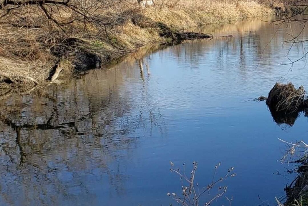 Photo of Outdoor in Sharon