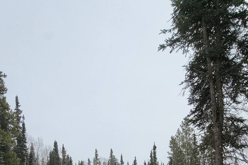 Photo of Others in Whitehorse