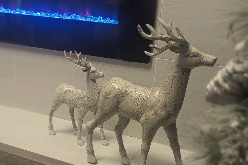 Photo of Others in Pitt Meadows