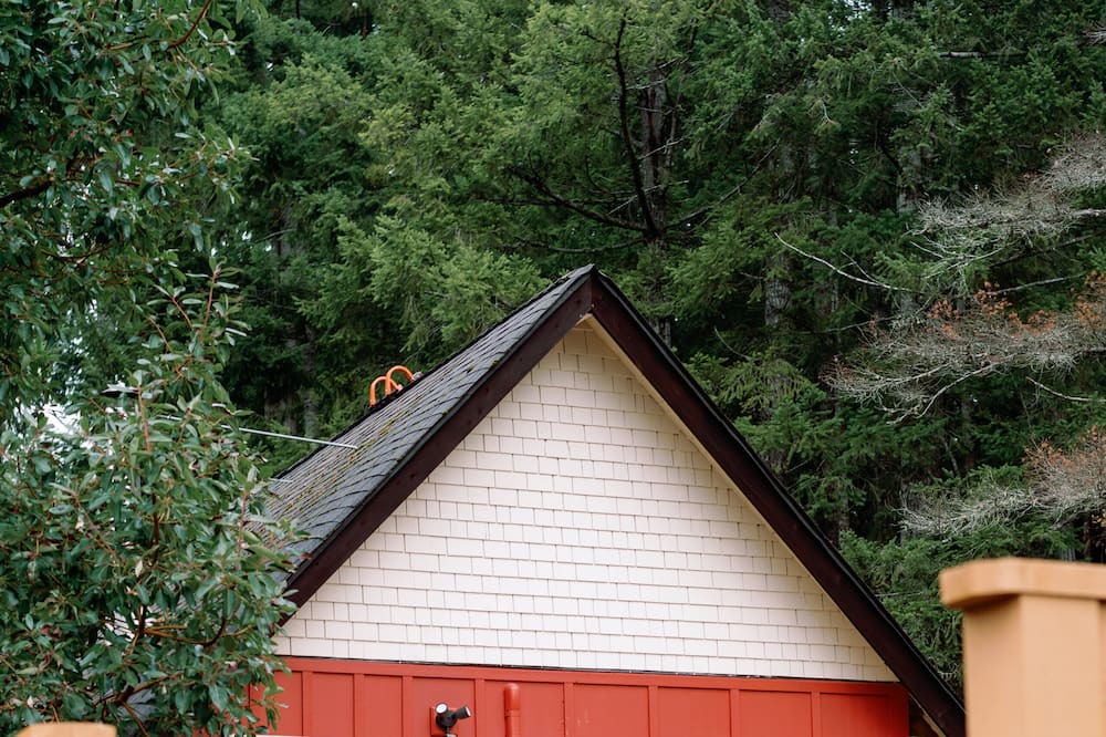 Photo of Outdoor in Shawnigan Lake