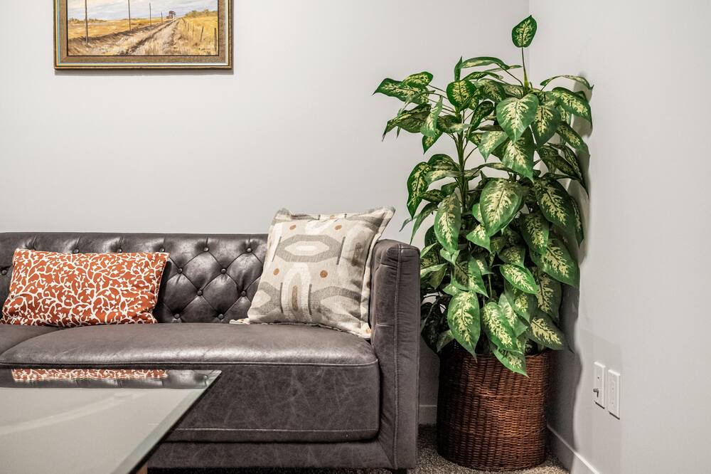 Photo of Livingroom in Southeast Calgary