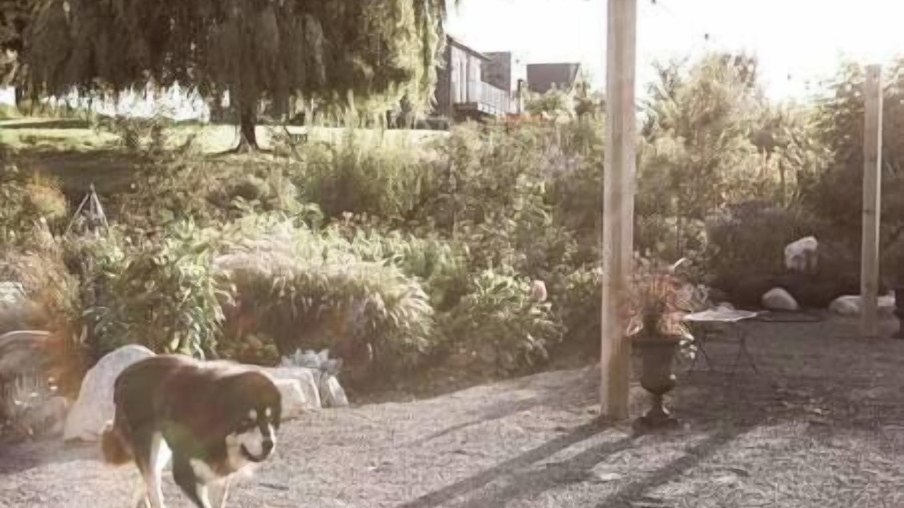 Photo of Outdoor in Langley