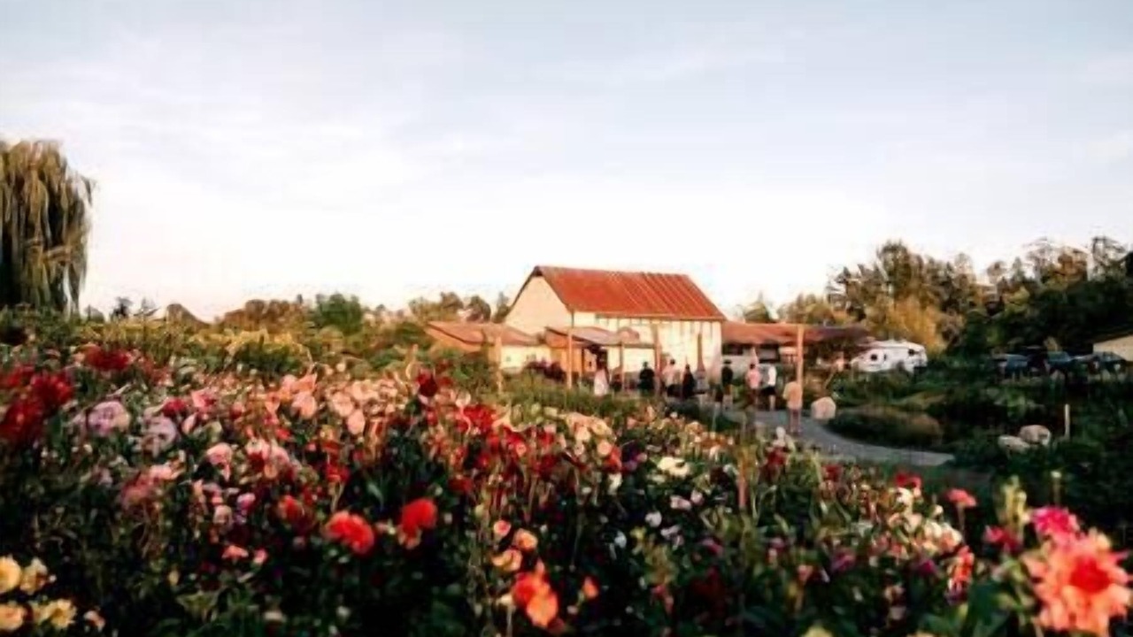 Photo of Outdoor in Langley