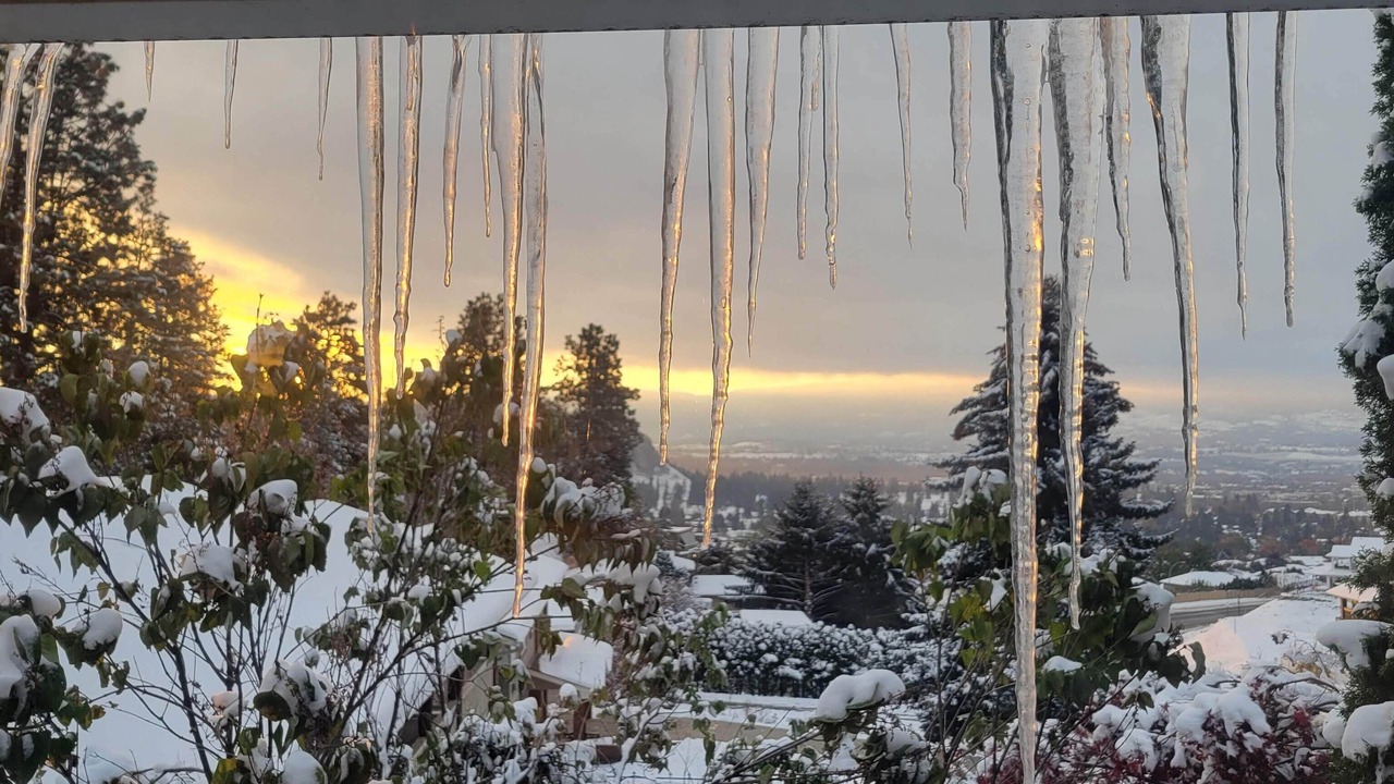 Photo of Outdoor in North Glenmore