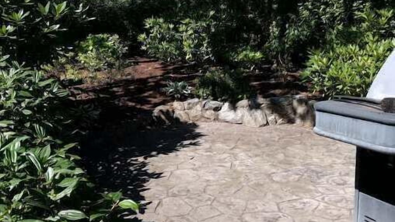Photo of Outdoor in Saanich West