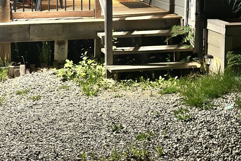 Photo of Outdoor in Youbou