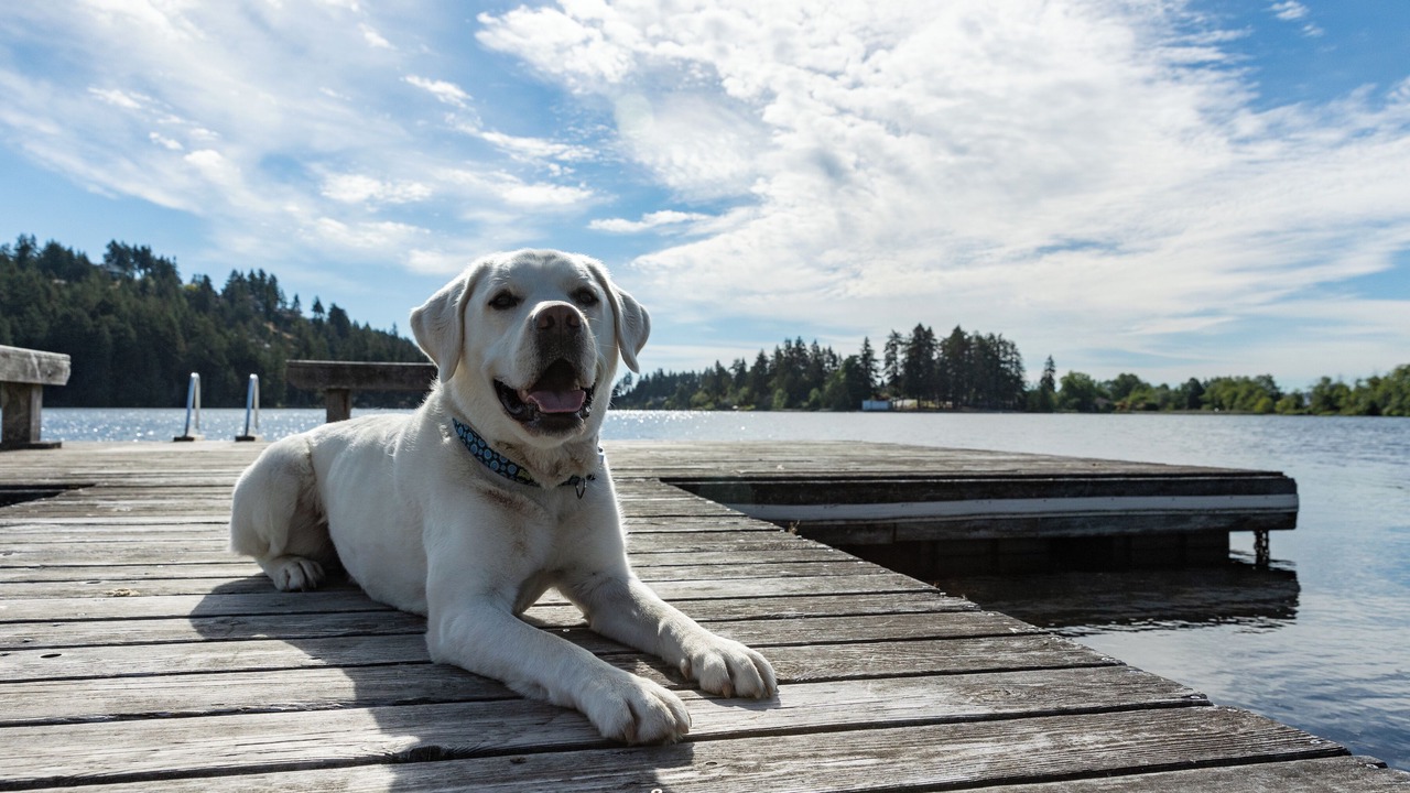 Photo of Others in Regional District of Nanaimo