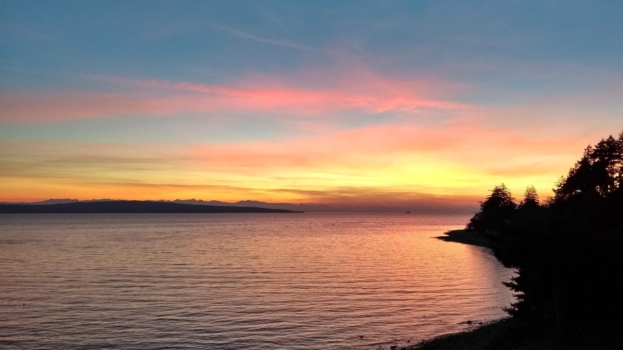 Photo of Others in Powell River