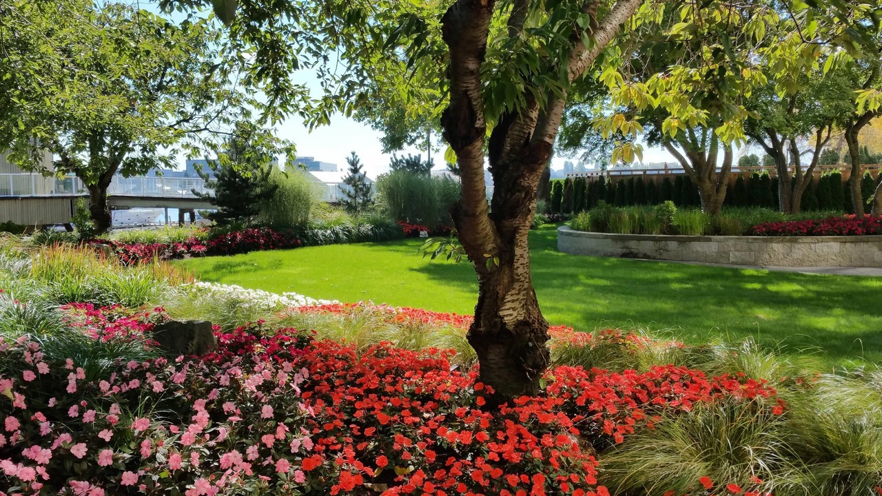 Photo of Outdoor in Richmond