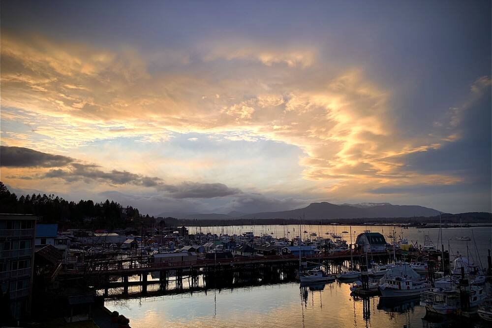Photo of Others in Cowichan Bay