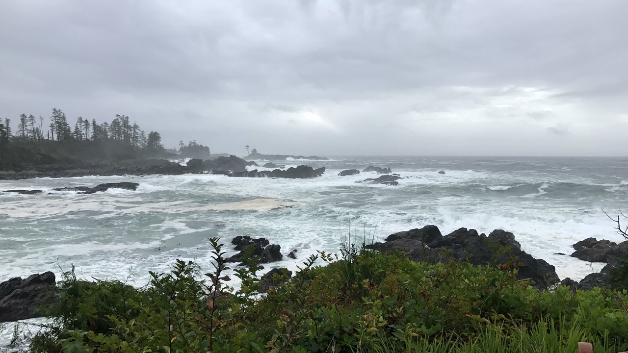 Photo of Others in Ucluelet