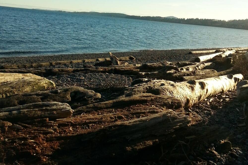 Photo of Others in Sidney