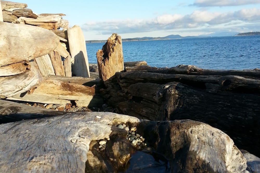Photo of Others in Sidney