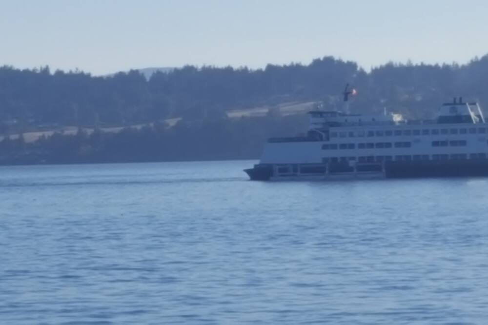 Photo of Others in Sidney