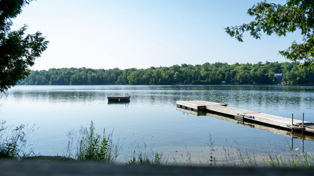 Photo of Outdoor in Tay Valley