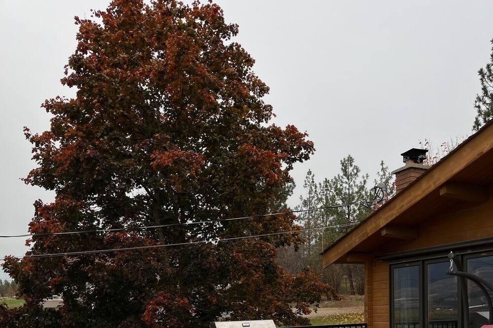 Photo of Outdoor in Central Okanagan