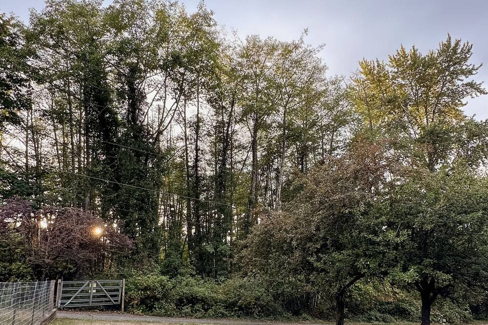 Photo of Outdoor in Mill Bay