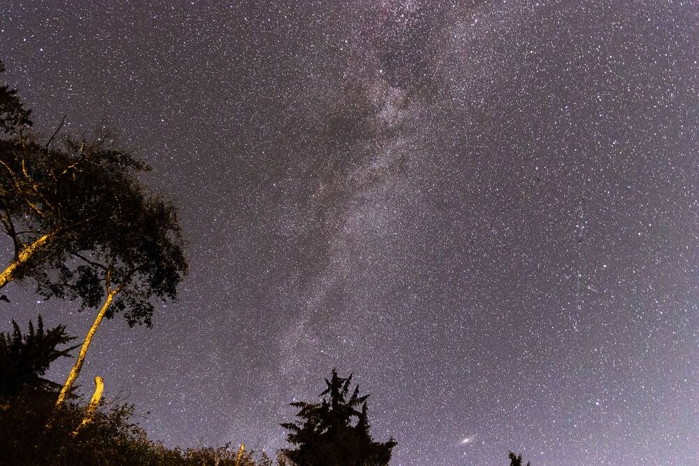 Photo of Outdoor in Sooke